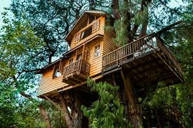 Amantikir Casa na Arvore.jpeg