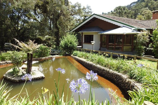 Floresta Encantada Lanchonete.jpg