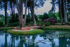 Irmãs Beneditinas ponte.jpeg