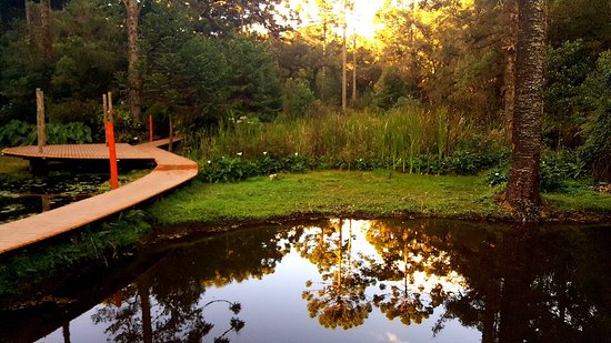 bosque-do-silencio lago.jpg