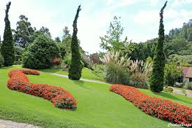 Amantikir Austriaco.jpeg