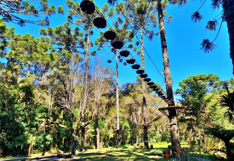 Bosque do Silencio Arborismo.jpg