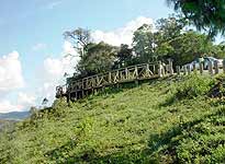 pico-imbiri mirante.jpg