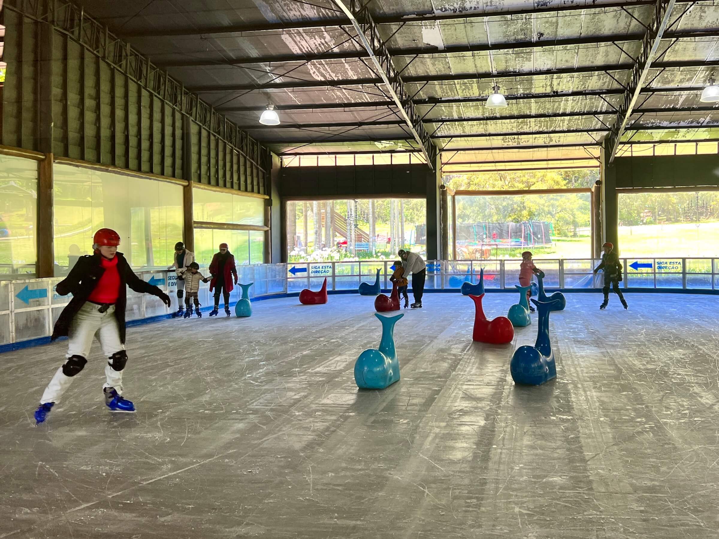 tarundu pista de gelo.jpg