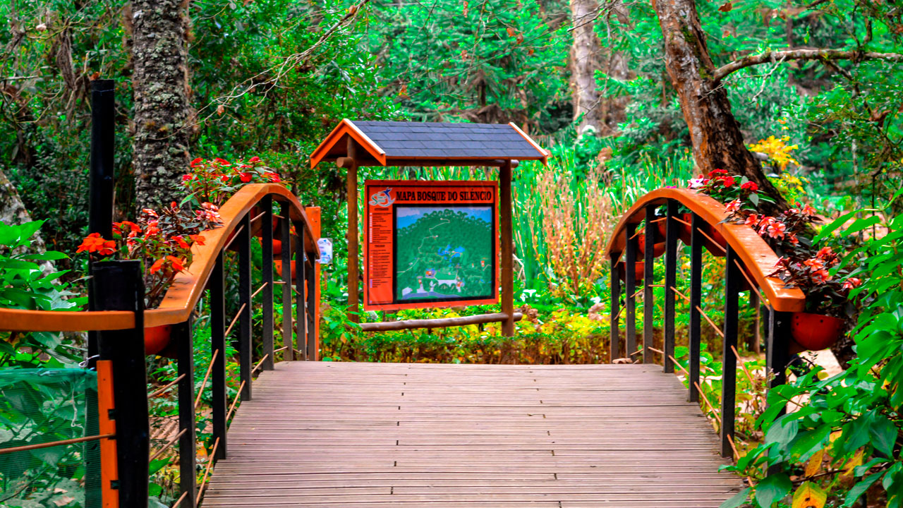 Bosque do Silencio.jpg