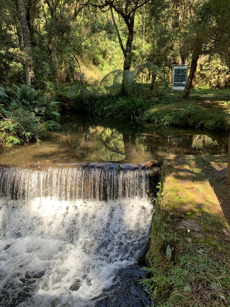 Horto Florestal - Queda d agua.jpeg