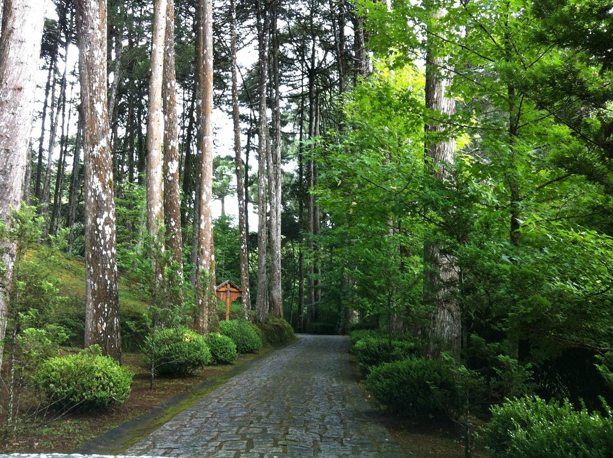 mosteiro-de-sao-joao jardim.jpg