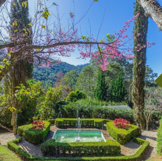 Jardins dos Pinhais japones.png