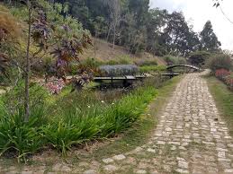 Amantikir Lago da Pontes.jpeg