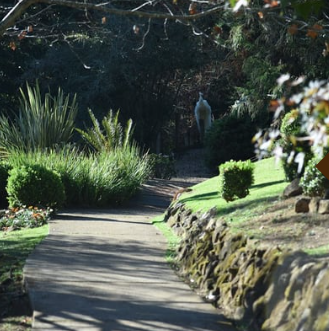 Jardins dos Pinhais Tropical.png